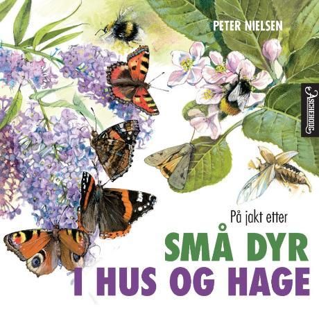 På jakt etter små dyr i hus og hage 9788203237270 Peter Nielsen Brukte bøker