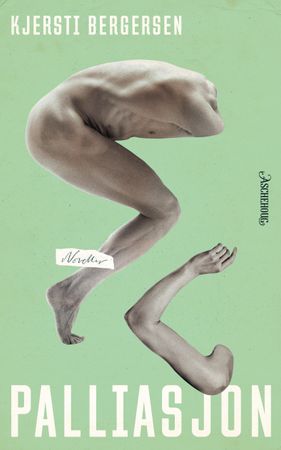 Palliasjon 9788203395208 Kjersti Bergersen Brukte bøker