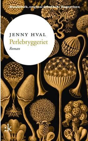 Perlebryggeriet 9788205406698 Jenny Hval Brukte bøker