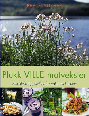 Plukk ville matvekster 9788203297120 Beate Slipher Brukte bøker