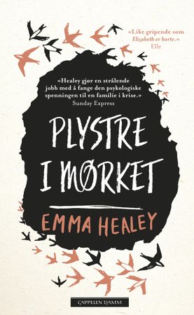 Plystre i mørket 9788202608606 Emma Healey Brukte bøker