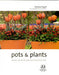 Pots & Plants 9781435104129 Barbara Segall Brukte bøker