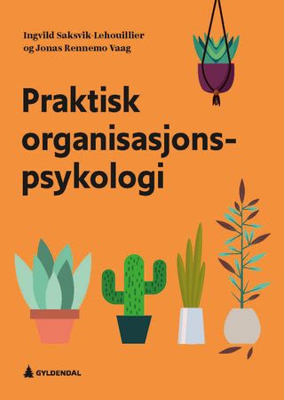 Praktisk organisasjonspsykologi 9788205522626 Ingvild Saksvik-Lehouillier Jonas Rennemo Vaag Brukte bøker