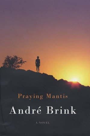 Praying mantis 9780436206016 André Brink Brukte bøker
