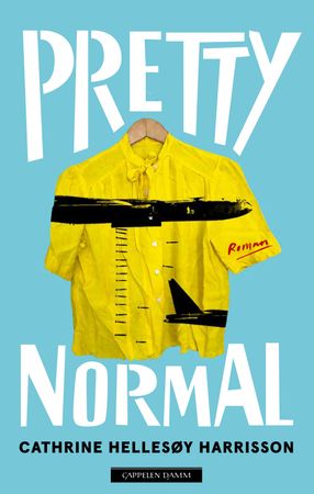 Pretty normal 9788202757816 Cathrine Hellesøy Harrisson Brukte bøker