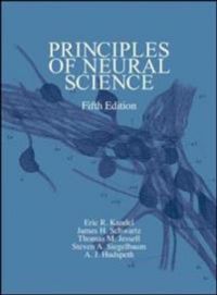 Principles of Neural Science 9780071390118 Eric R. Kandel James H. Schwartz Thomas M. Jessell Brukte bøker