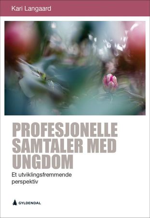 Profesjonelle samtaler med ungdom 9788205500914 Kari Langaard Brukte bøker