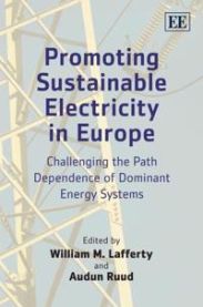 Promoting Sustainable Electricity in Europe 9781847208071  Brukte bøker