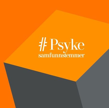#Psyke samfunnstemmer 9788230343524  Brukte bøker