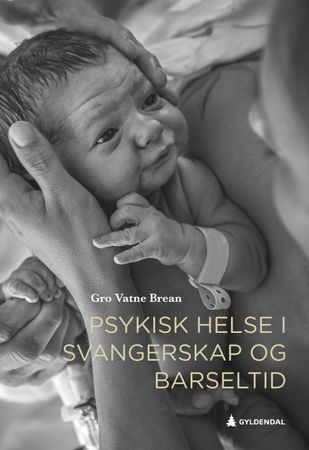 Psykisk helse i svangerskap og barseltid 9788205520462 Gro Vatne Brean Brukte bøker