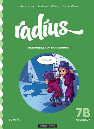 Radius 9788202405328 Kristin Måleng Vibeke Saltnes Olsen Jan Erik Gulbrandsen Randi Løchsen Brukte bøker