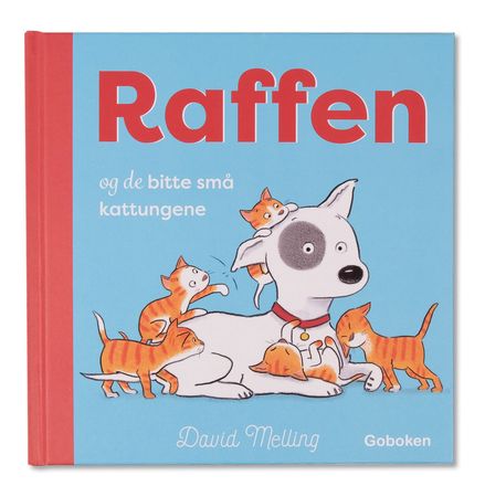 Raffen og de bitte små kattungene 9788230525883 David Melling Brukte bøker