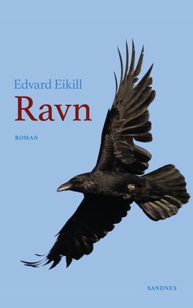 Ravn 9788293903314 Edvard Eikill Brukte bøker