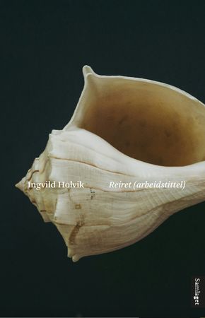 Reiret (arbeidstittel) 9788234011993 Ingvild Holvik Brukte bøker