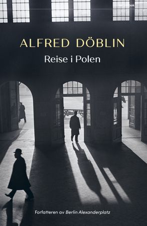 Reise i Polen 9788253043791 Alfred Döblin Brukte bøker