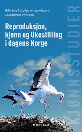 Reproduksjon, kjønn og likestilling i dagens Norge 9788245019216  Brukte bøker