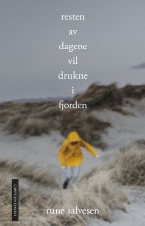 Resten av dagene vil drukne i fjorden 9788202599423 Rune Salvesen Brukte bøker