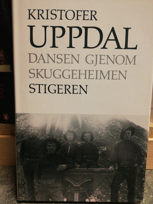 Dansen gjenom skuggeheimen - Stigeren (Innbundet) - Bokia.no