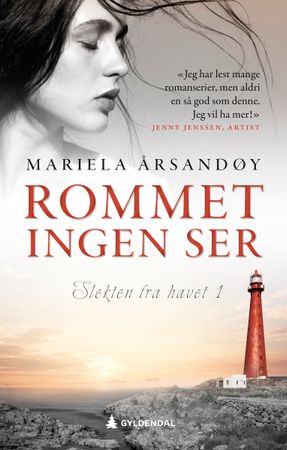Rommet ingen ser 9788205612884 Mariela Årsandøy Brukte bøker