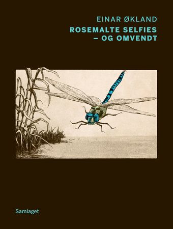 Rosemalte selfies - og omvendt 9788252198478 Einar Økland Brukte bøker