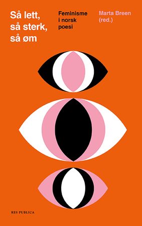 Så lett, så sterk, så øm 9788282262743  Brukte bøker