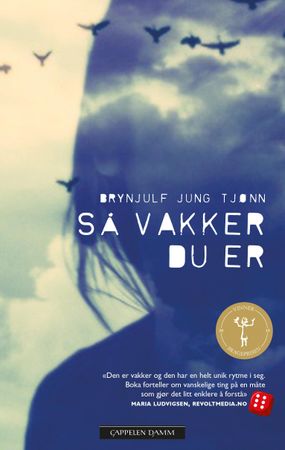 Så vakker du er 9788202490744 Brynjulf Jung Tjønn Brukte bøker