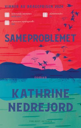 Sameproblemet 9788249529735 Kathrine Nedrejord Brukte bøker