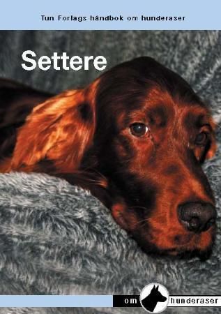 Settere 9788252929201  Brukte bøker