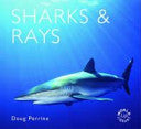 Sharks and Rays 9781841072913 Doug Perrine Brukte bøker
