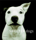Shelter Dogs 9781858943527 Traer Scott Brukte bøker