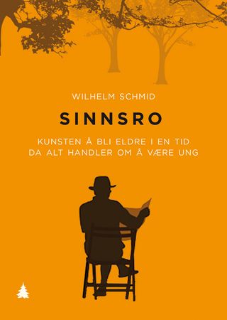 Sinnsro 9788205488021 Wilhelm Schmid Brukte bøker