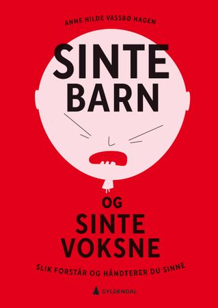Sinte barn og sinte voksne 9788205546646 Anne Hilde Vassbø Hagen Brukte bøker