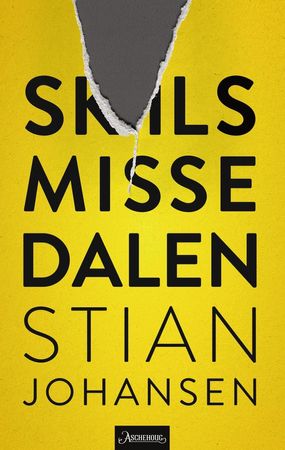 Skilsmissedalen 9788203365621 Stian Johansen Brukte bøker