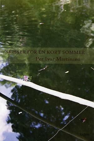 Skisser for en kort sommer 9788205361997 Per Ivar Martinsen Brukte bøker