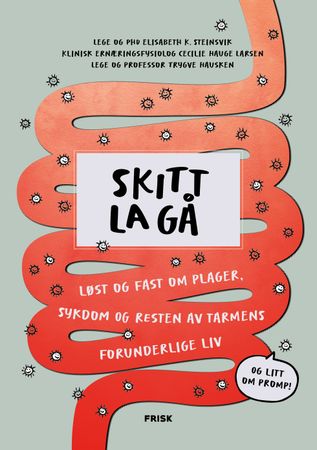 Skitt la gå 9788284371252 Cecilie Hauge Larsen Elisabeth Kjelsvik Steinsvik Trygve Hausken Brukte bøker