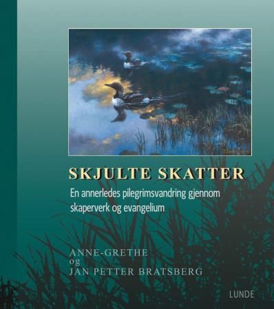 Skjulte skatter 9788252001754 Anne-Grethe Bratsberg Jan Petter Bratsberg Brukte bøker