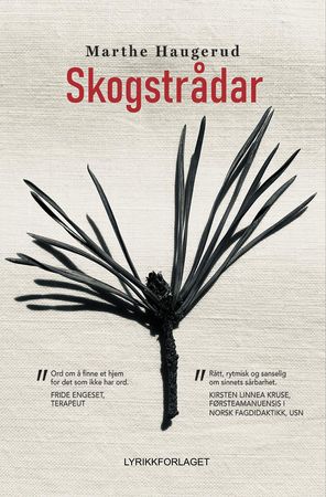 Skogstrådar 9788283980509 Marthe Haugerud Brukte bøker