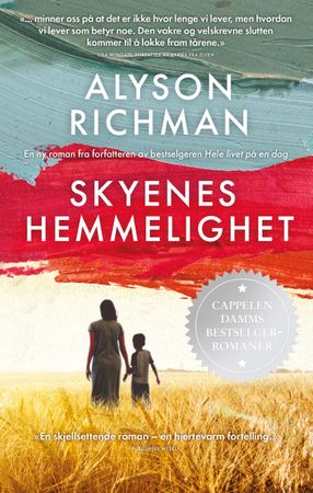 Skyenes hemmelighet 9788202662110 Alyson Richman Brukte bøker