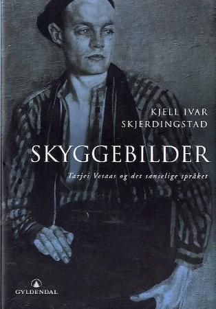 Skyggebilder 9788205376113 Kjell Ivar Skjerdingstad Brukte bøker