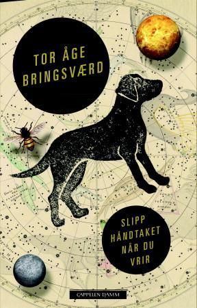 Slipp håndtaket når du vrir 9788202360238 Tor Åge Bringsværd Brukte bøker