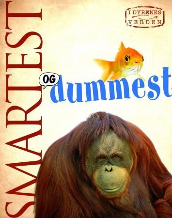 Smartest og dummest 9788205425927 Camilla De la Bédoyère Brukte bøker
