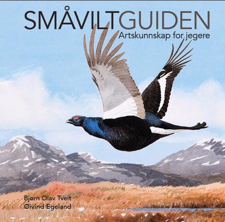 Småviltguiden 9788299806275 Bjørn Olav Tveit Brukte bøker