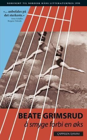 Å smyge forbi en øks 9788202175085 Beate Grimsrud Brukte bøker