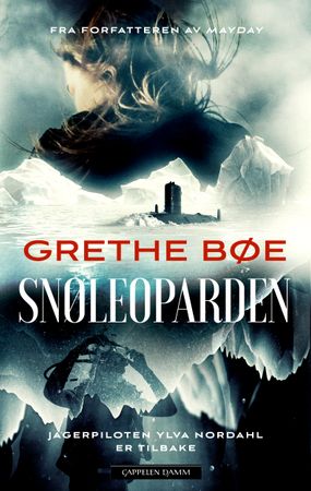 Snøleoparden 9788202772390 Grethe Bøe Brukte bøker