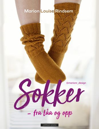 Sokker 9788202626969 Marion Louise Rindsem Brukte bøker