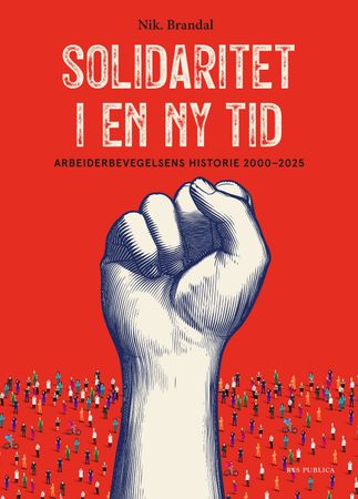Solidaritet i en ny tid 9788282263191 Nikolai Brandal Brukte bøker
