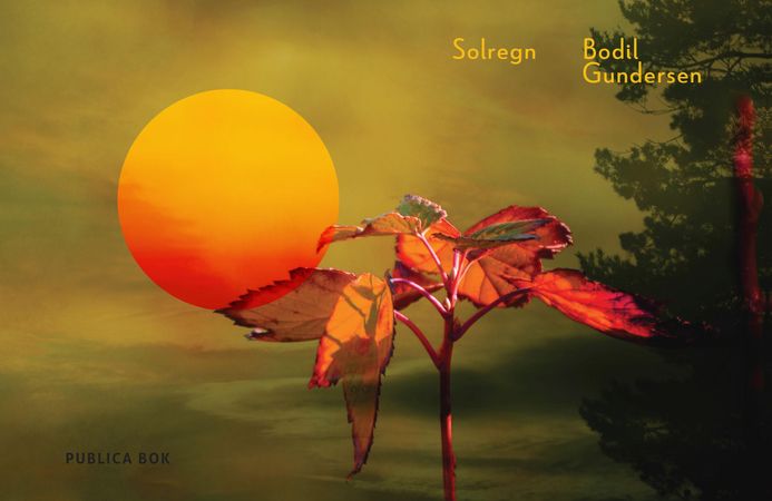 Solregn 9788282515146 Bodil Gundersen Brukte bøker