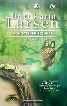 Som steinen skinner 9788202419394 Britt Karin Larsen Brukte bøker