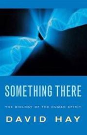 Something There 9780232526370 David Hay Brukte bøker