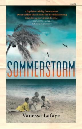 Sommerstorm 9788253037738 Vanessa Lafaye Brukte bøker